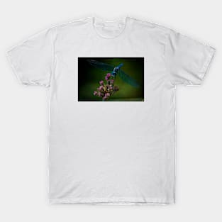 Dark Dragonfly T-Shirt